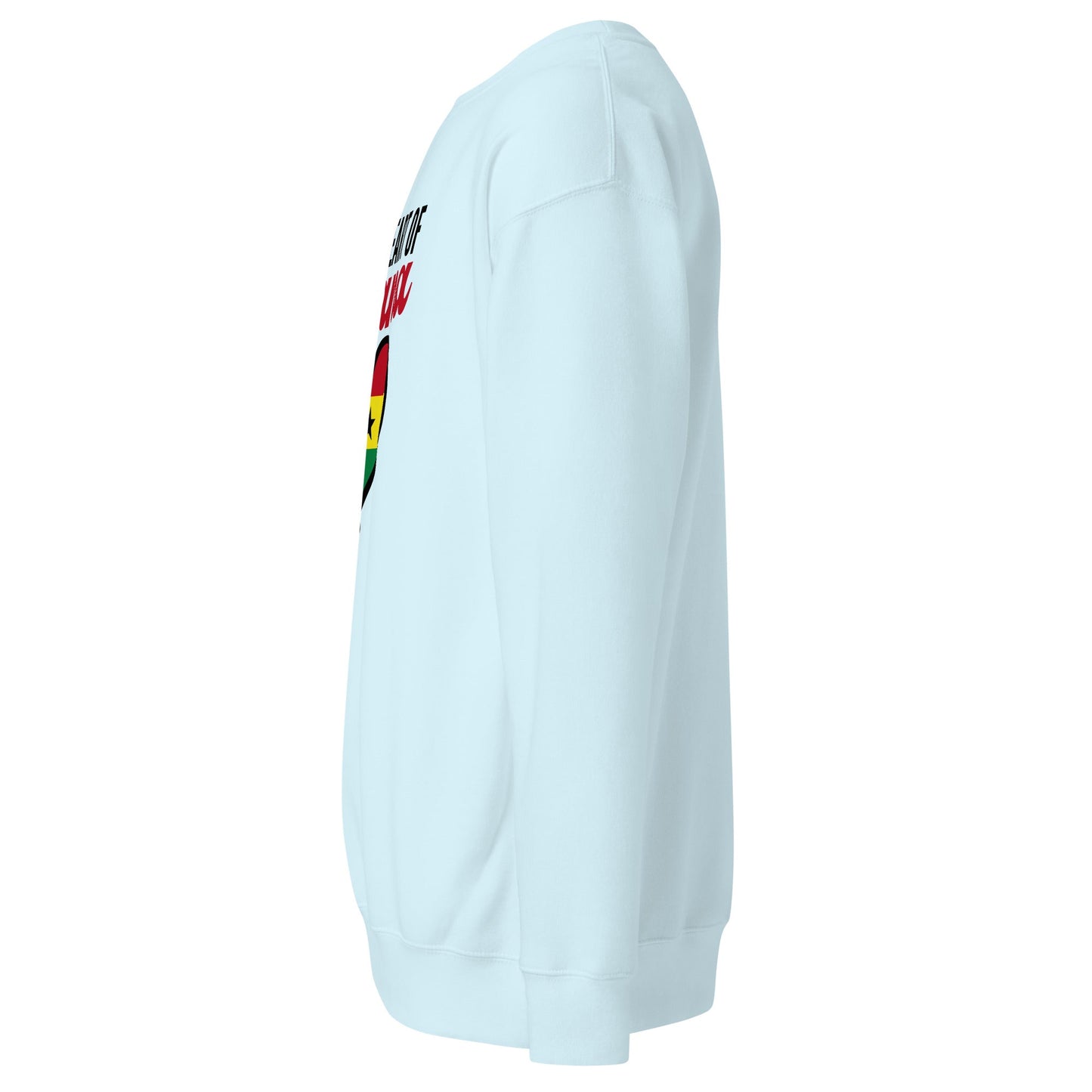 Unisex Premium Sweatshirt - THREE BOYZ