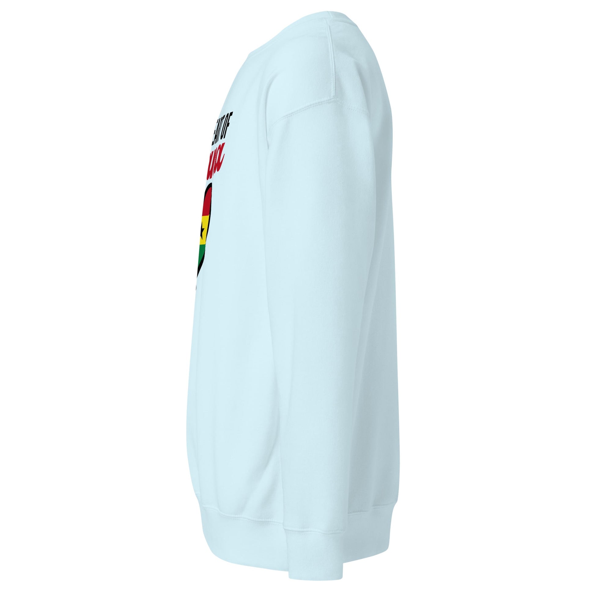 Unisex Premium Sweatshirt - THREE BOYZ