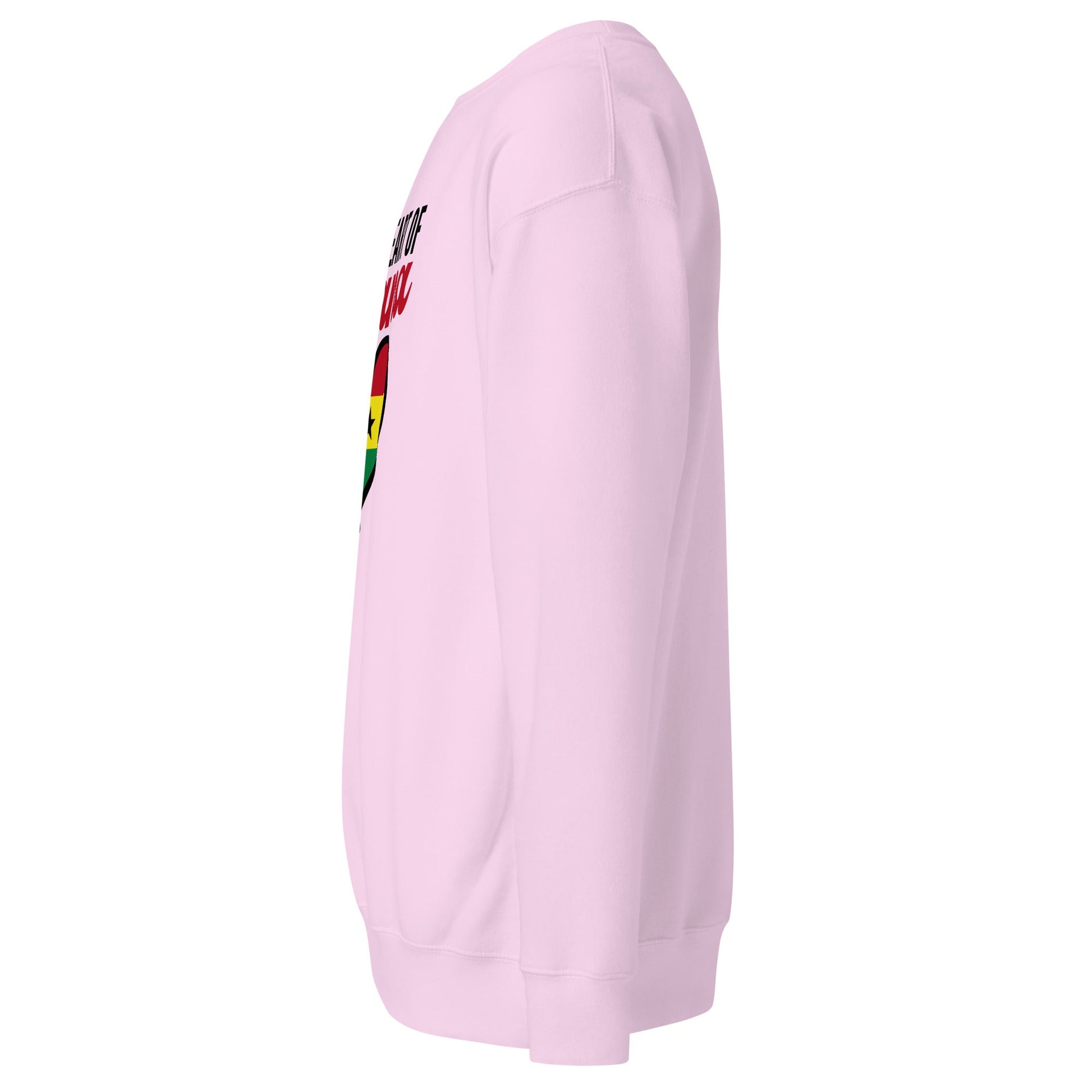 Unisex Premium Sweatshirt - THREE BOYZ