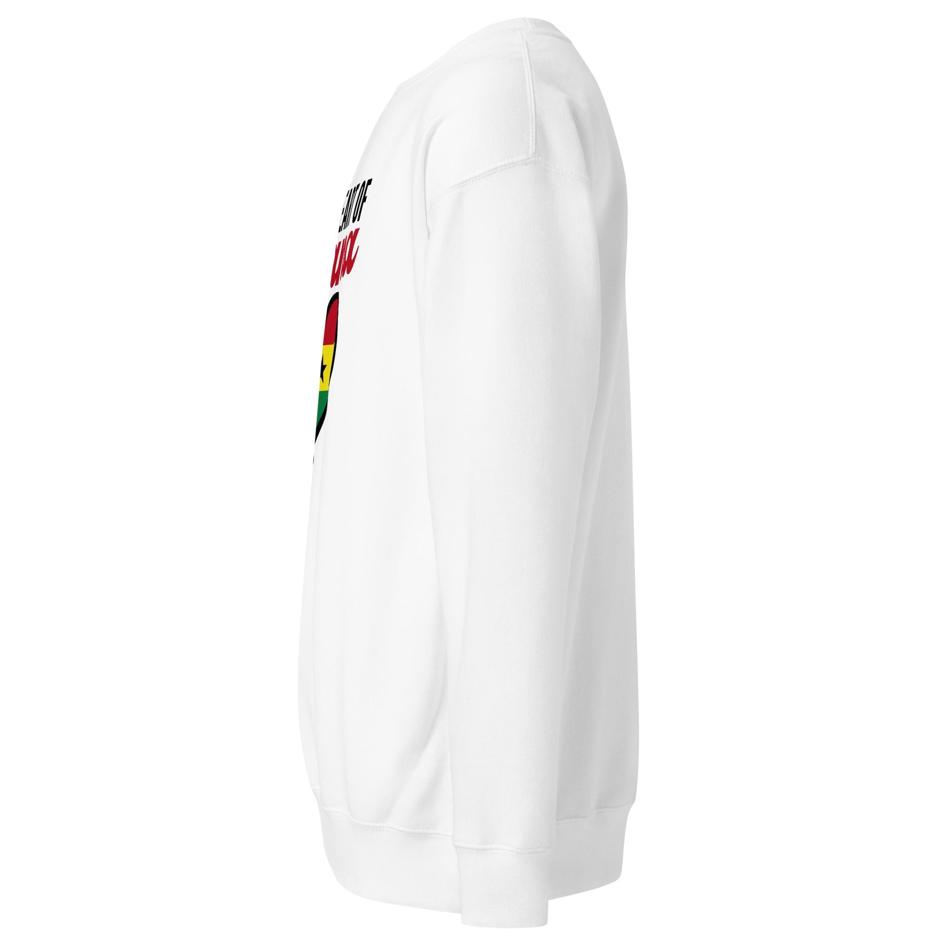 Unisex Premium Sweatshirt - THREE BOYZ