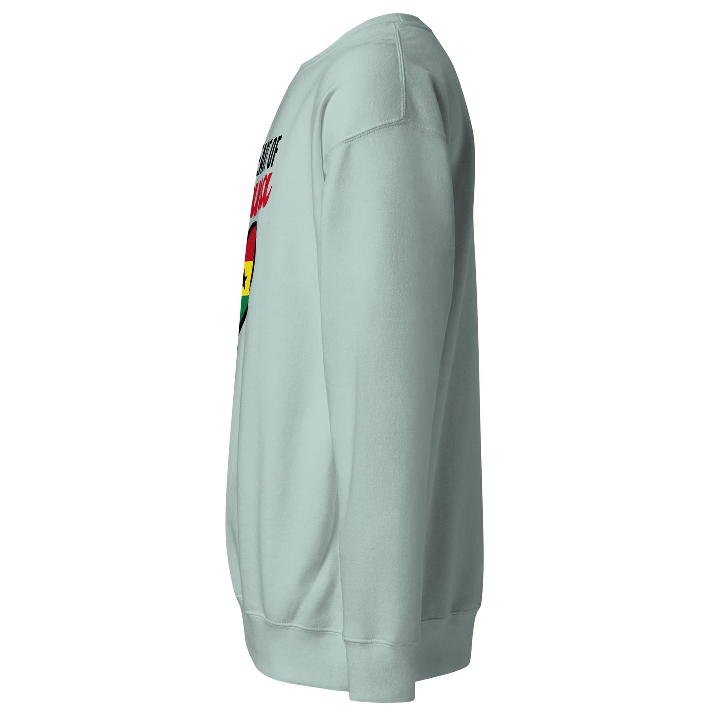 Unisex Premium Sweatshirt - THREE BOYZ