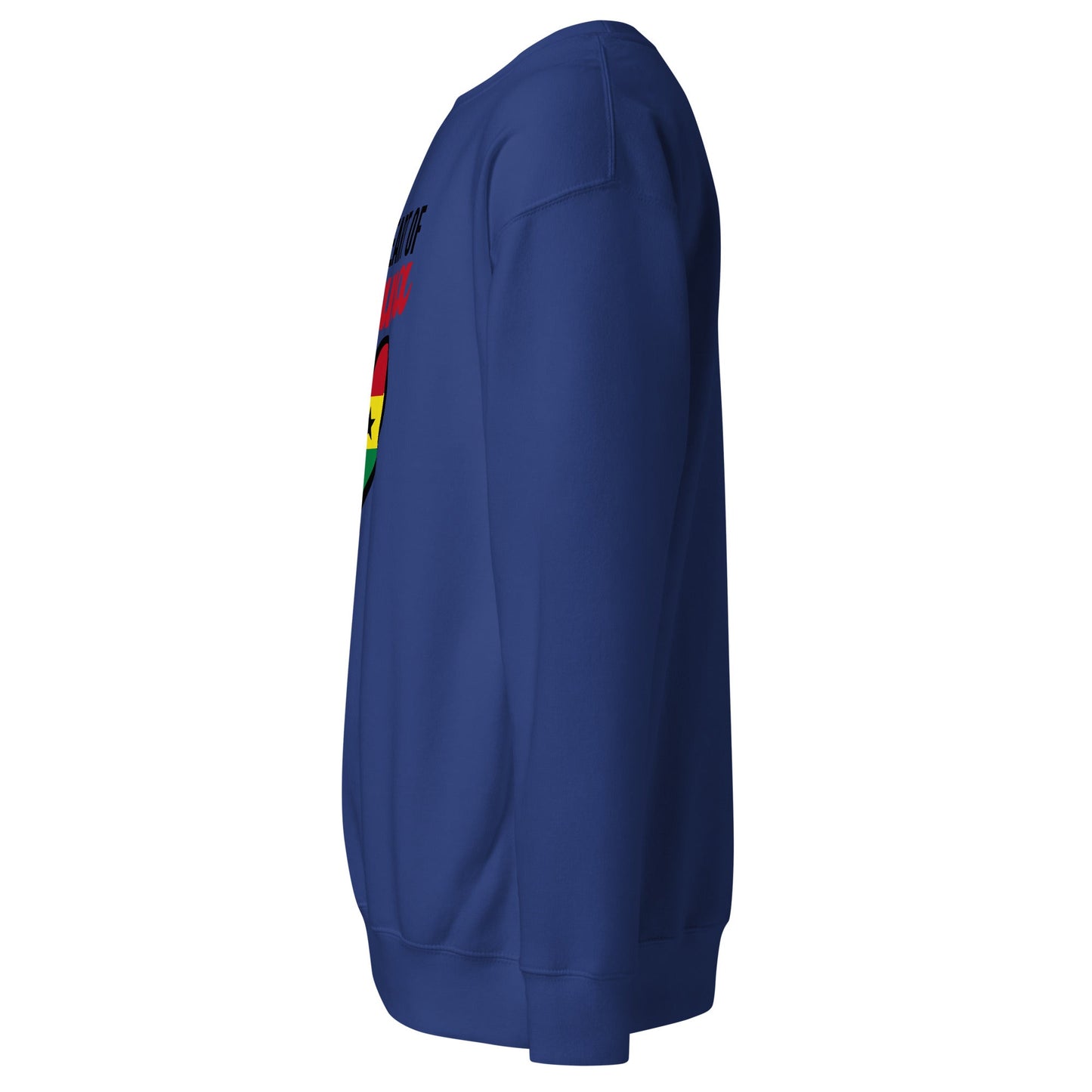 Unisex Premium Sweatshirt - THREE BOYZ