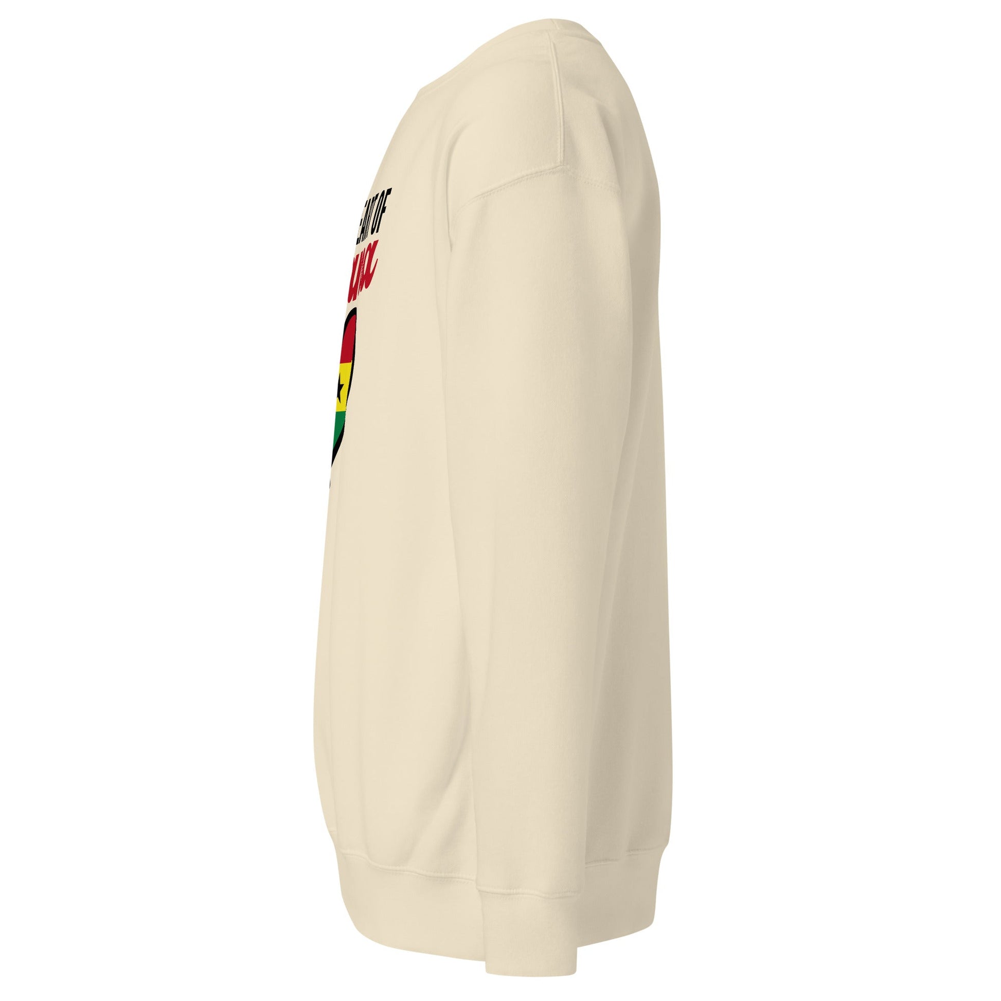 Unisex Premium Sweatshirt - THREE BOYZ