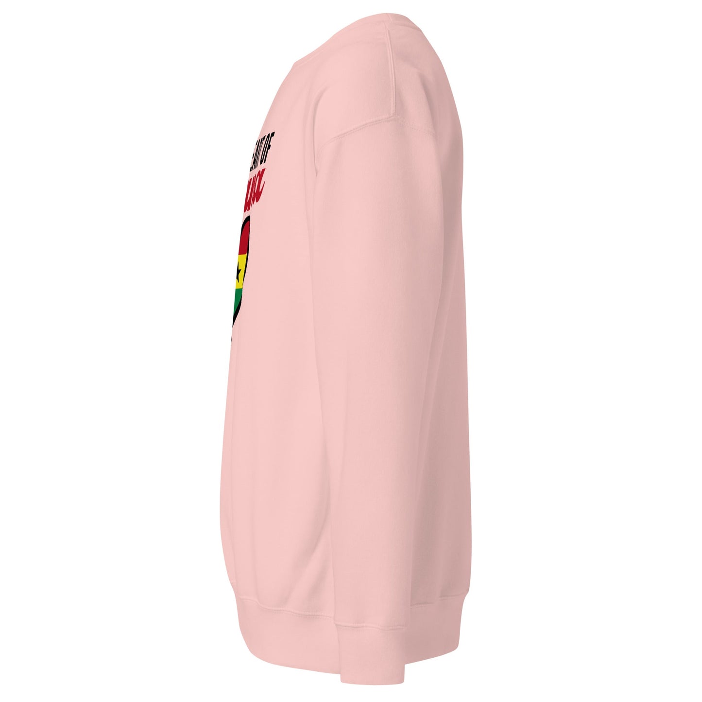 Unisex Premium Sweatshirt - THREE BOYZ