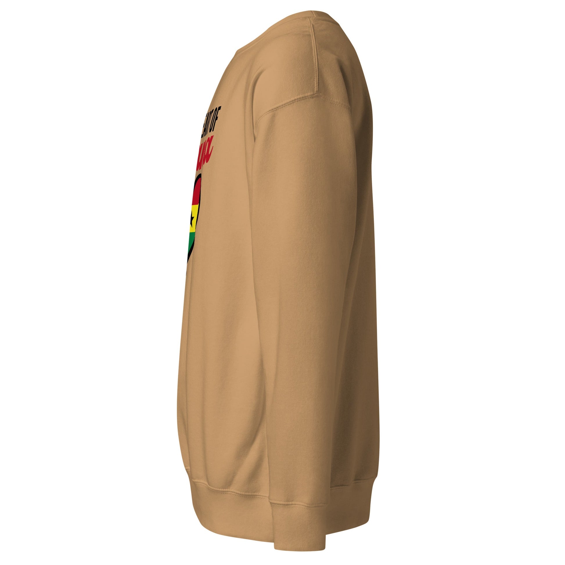 Unisex Premium Sweatshirt - THREE BOYZ